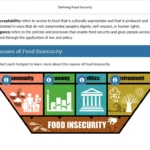 An example of course materials on food security.